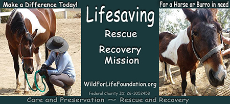 Lifesaving protection and preservation